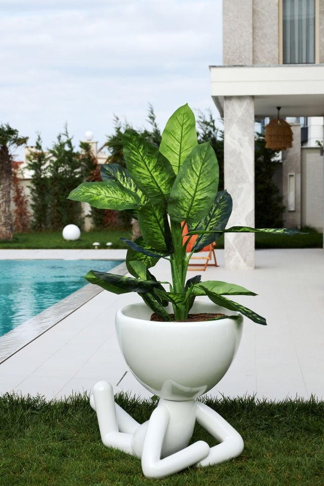 Tranquil Saksı